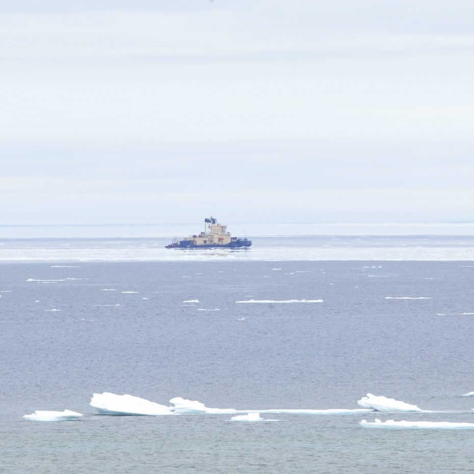 RESEARCH VESSEL HARASSES 700 NURSING BELUGA WHALES