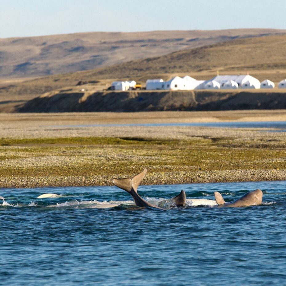 CONDÉ NAST TRAVELLER & ARCTIC WATCH: “WHERE YOU CAN CHASE THE MIDNIGHT SUN”