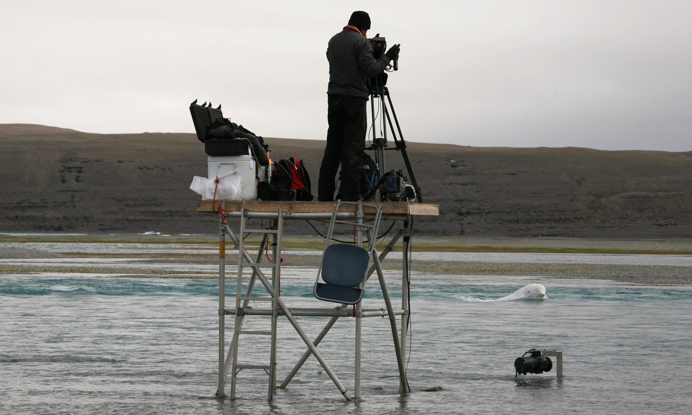 Filming & Photographing in the Canadian Arctic