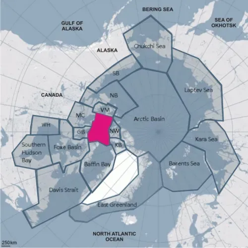 Polar Bear Sub Populations of the Circumpolar Arctic