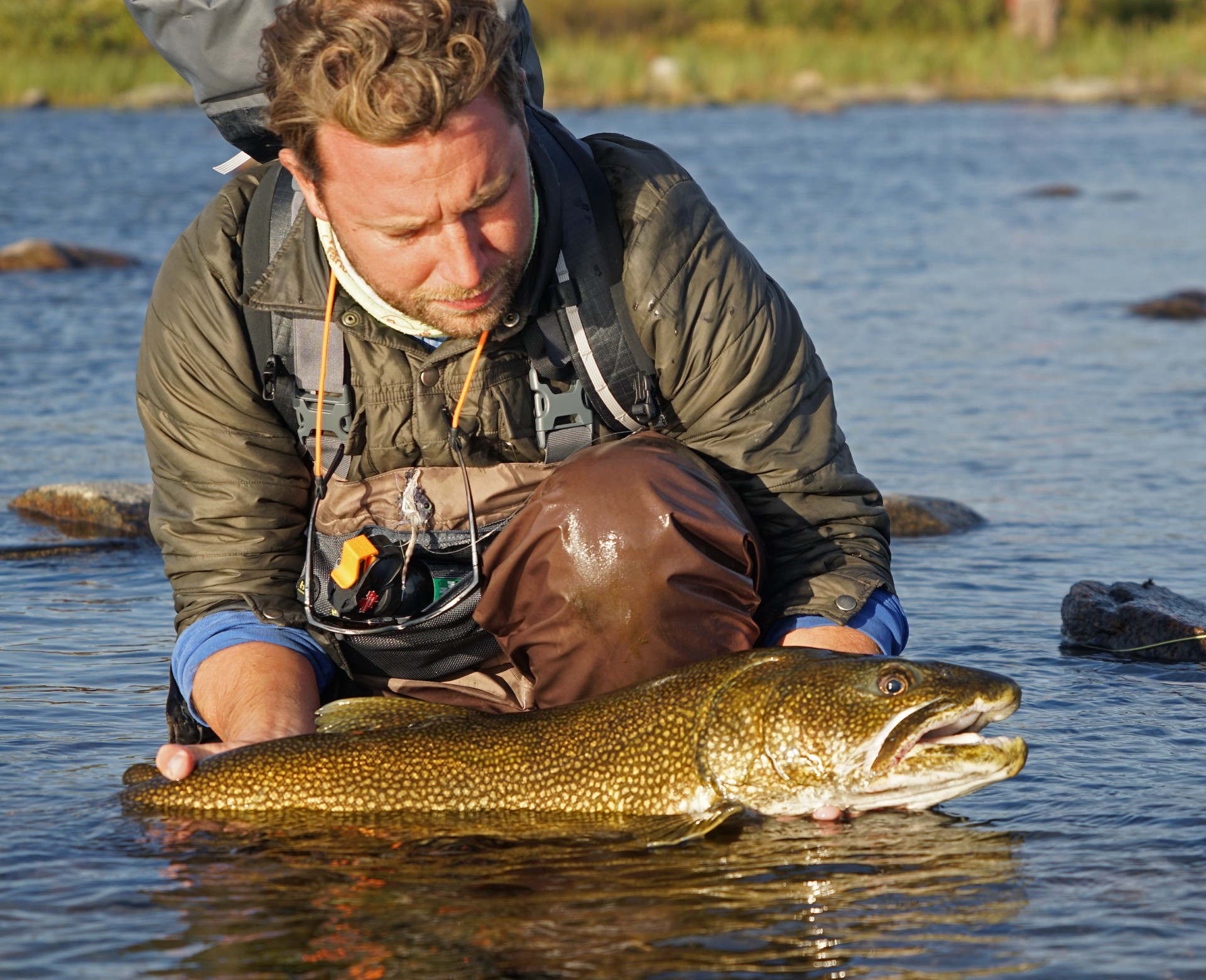 Carefully releasing a gorgeous lake trout near Arctic Haven