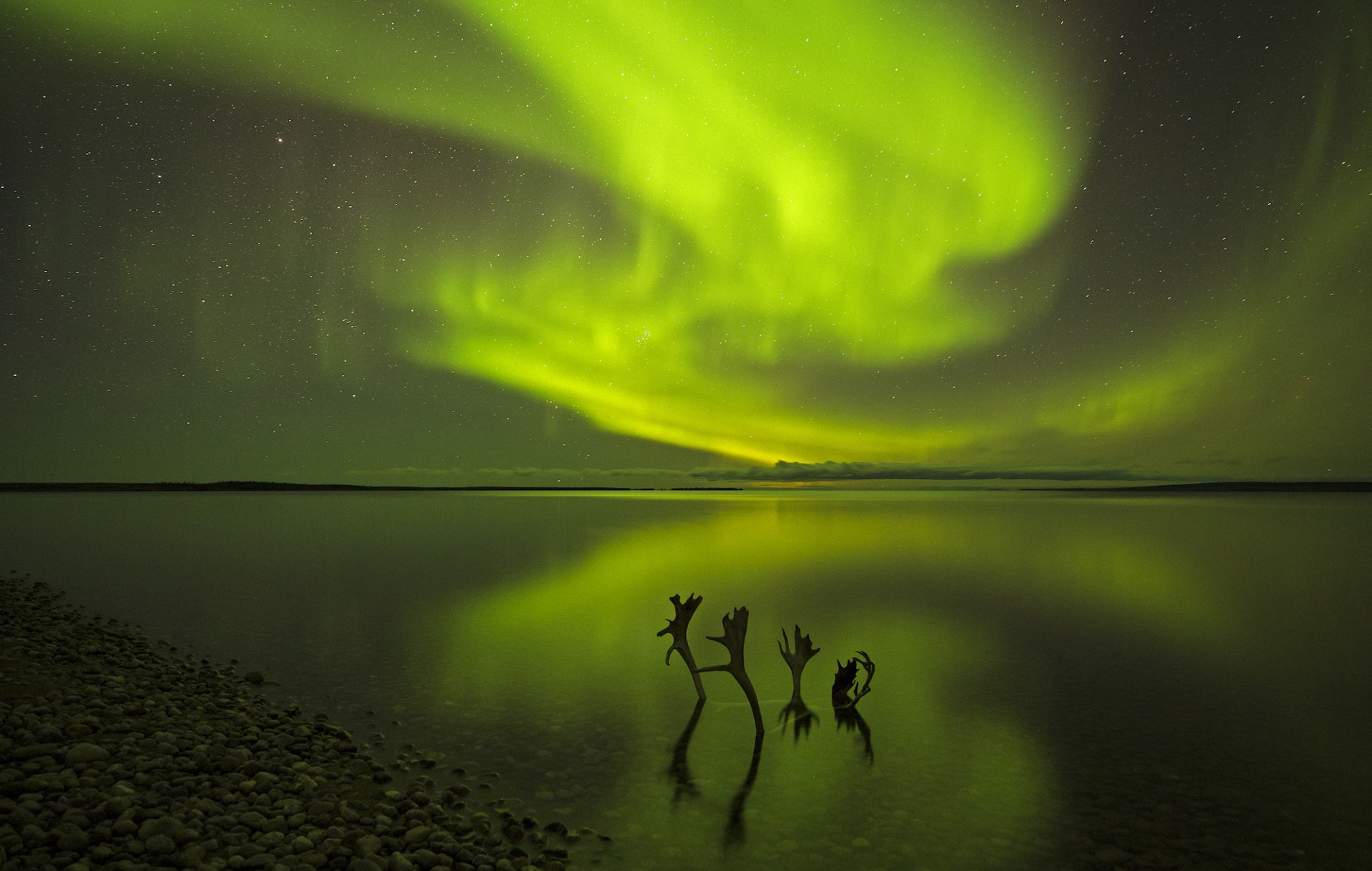 Northern Lights glowing on the edge of Ennadai Lake