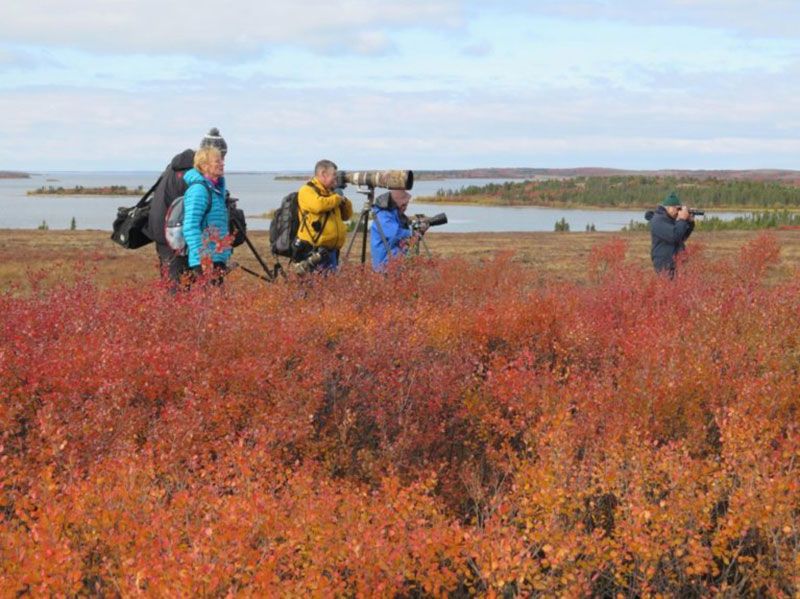Guests of Arctic Haven in search of a good look at a caribou (Photo credit: Nansen Weber)