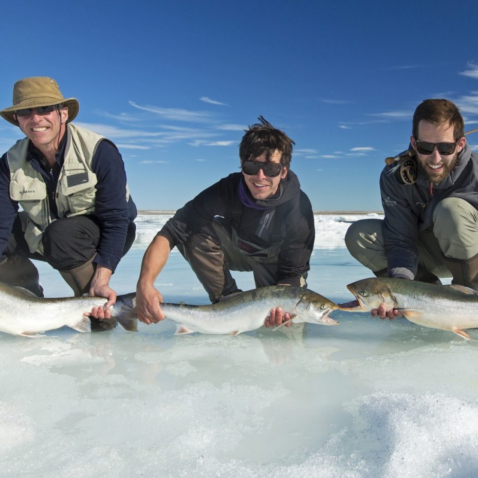 Weber Arctic | FISHING FOR ARCTIC CHAR