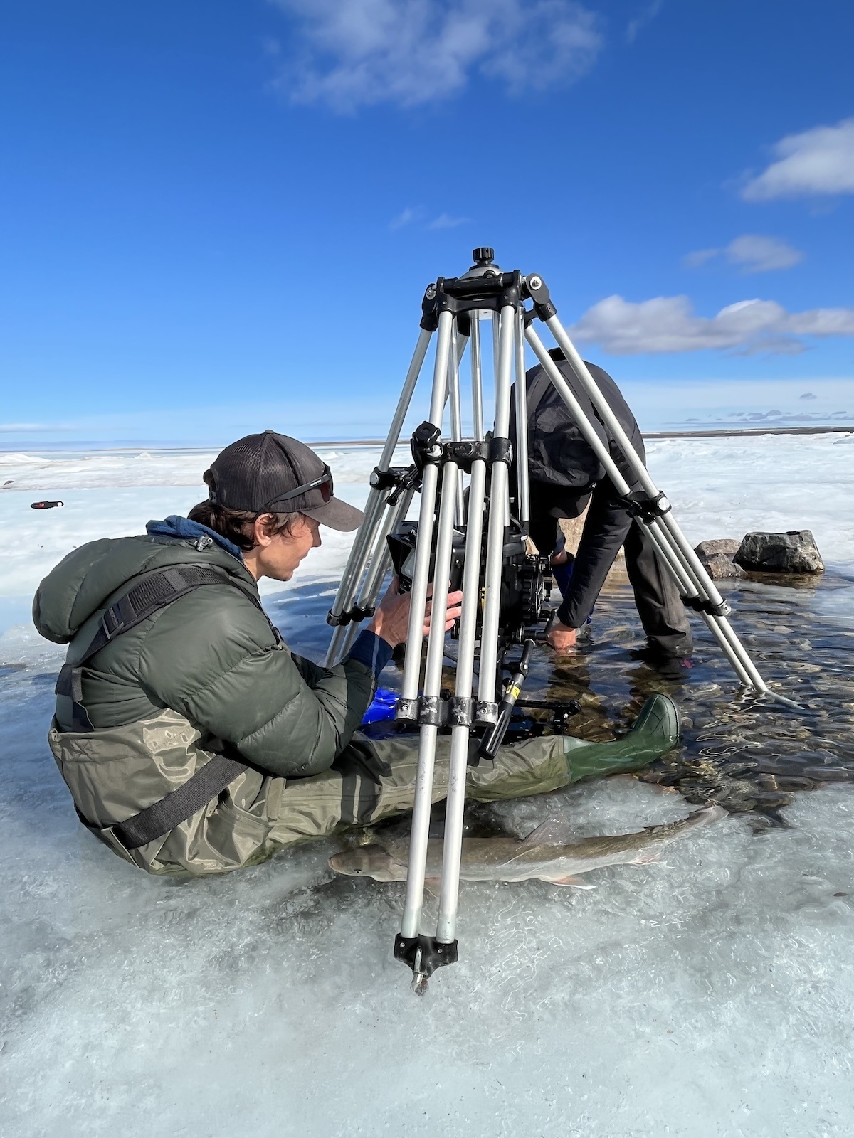 Weber Arctic | Netflix films Oceans Documentary from Arctic Watch