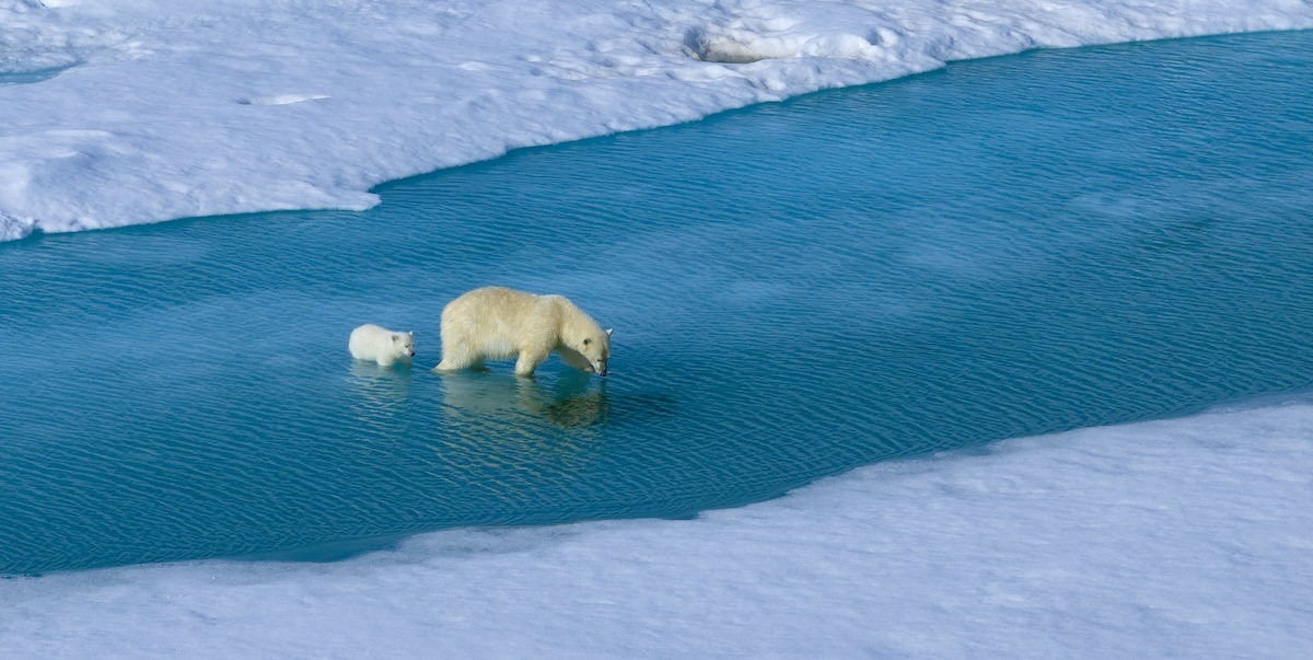 Weber Arctic | Netflix films Oceans Documentary from Arctic Watch